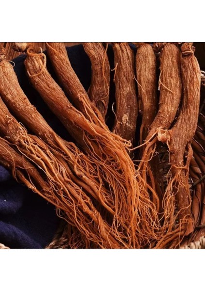%100 Doğal Ginseng Kökü 25 gr fırsatları