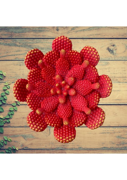 Sanatsal Kaktüs Tabak | Siyah-Gold El Boyama Obje | Ev ve Ofis Dekoru