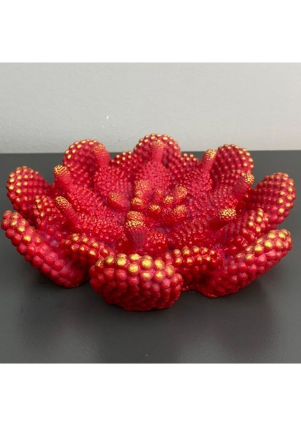 Sanatsal Kaktüs Tabak | Siyah-Gold El Boyama Obje | Ev ve Ofis Dekoru fiyatları