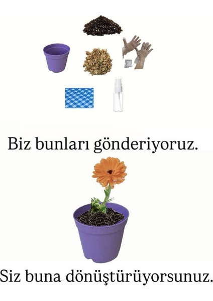Ekilmeye Hazır Yaşam Seti fiyatları