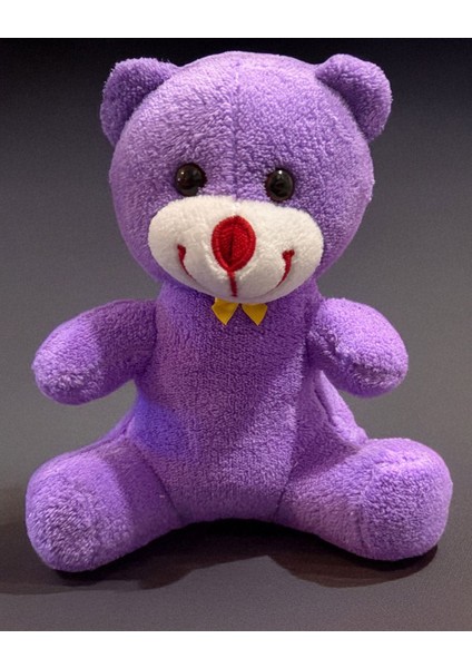 Hediye Seti 25CM Mor Ayıcık ve Istiridye Içinde Inci Kolye Arkadaşa Kardeşe Sevgiliye Anneye Ablaya fiyatları