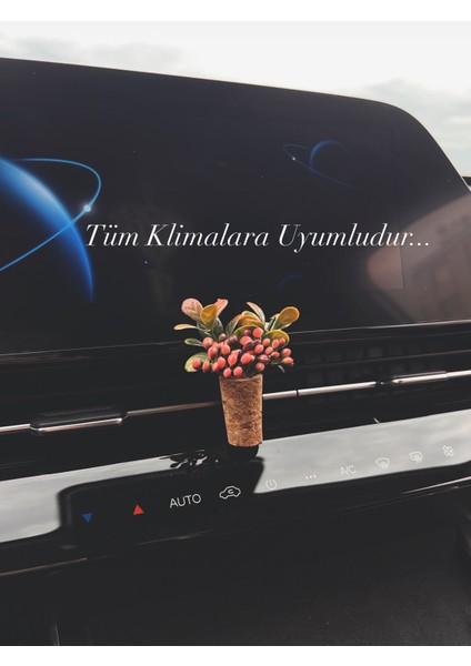 Dekoratif Mini Araç Kokusu|el Yapımı Mantar Saksı Çiçek Oto Klima Süsü|difüzör(Kokusuz)Pembe indirimleri