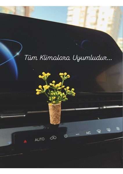 Dekoratif Mini Araç Kokusu|el Yapımı Mantar Saksı Çiçek Araba Klima Süsü|oto Koku Difüzörü indirimleri