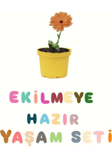 Ekilmeye Hazır Yaşam Seti