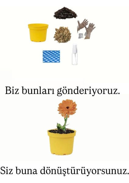 Ekilmeye Hazır Yaşam Seti fiyatları