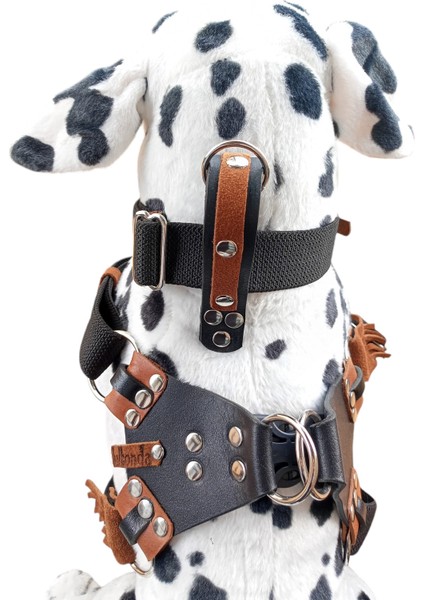 Köpek Göğüs tasması boyun tasmalı set büyük ırk siyah kalın kolon kalınlık:3mm genişlik:3,5cm göğüs ölçüsü:60-100 boyun ölçüsü:30-60cm dog harness TB5-21