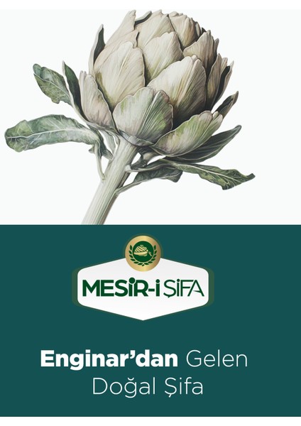 Enginarlı Kahve Bitkisel Karışımlı Çözünebilir Kahve 75 gr indirimleri