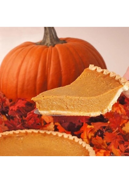 Spookie Balkabağı Tohumu