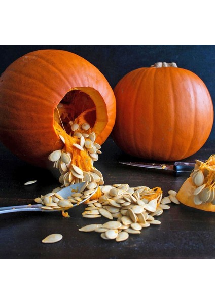 Spookie Balkabağı Tohumu fiyatları