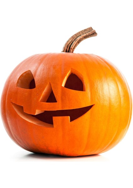 Spookie Balkabağı Tohumu modelleri