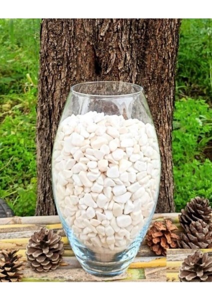 Beyaz Dolomit Taşı 4 kg 1-2 Cm, Dekoratif ve Teraryum Bahçe Düzeni Için modelleri