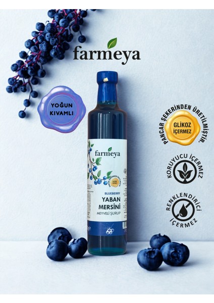 Yaban Mersini Özü 700 gr - Yaban Mersini Meyveli Şurup