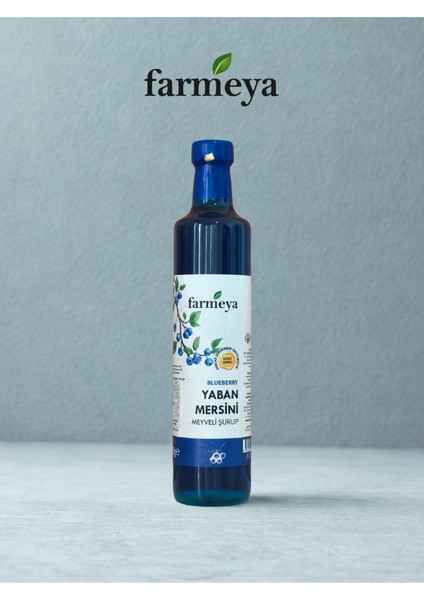 Yaban Mersini Özü 700 gr - Yaban Mersini Meyveli Şurup fiyatları