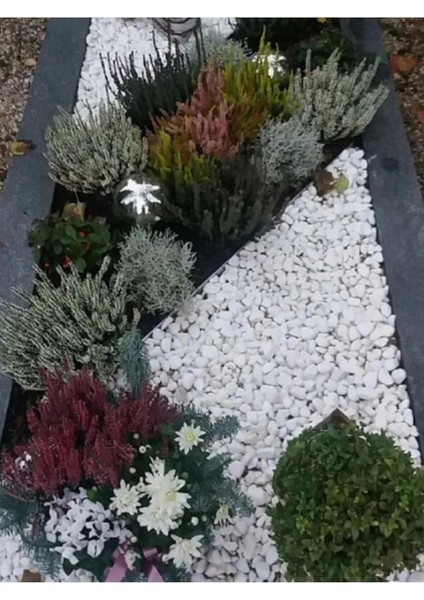 Beyaz Dolomit Taş 10 kg 1-2 cm Dere Çakıl Taşı Bahçe ve Teraryum Süs Taşı indirimleri