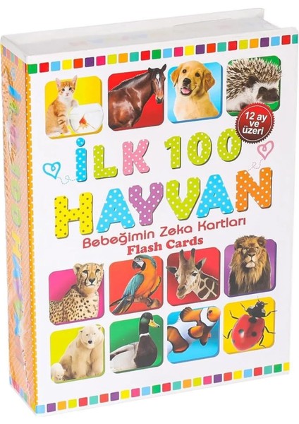 Için Ilk 100 Hayvanlar Kelime Zeka Kartları Eğitici Yeni Doğan Kartları