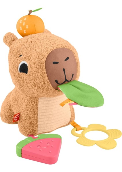 Yumuşak Kapibara Yenidoğanlar Için Dişliği ve Çıngırağı Olan Fisher-Price Yumuşacık Obur Kapi Duyusal Gelişime Yardımcı Pelüş Bebek Oyuncağı HYR54