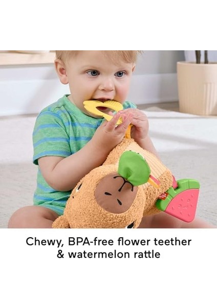 Yumuşak Kapibara Yenidoğanlar Için Dişliği ve Çıngırağı Olan Fisher-Price Yumuşacık Obur Kapi Duyusal Gelişime Yardımcı Pelüş Bebek Oyuncağı HYR54 fiyatları