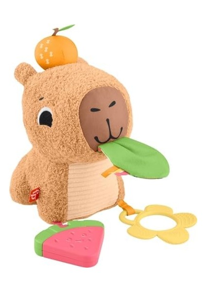 Yumuşak Kapibara Yenidoğanlar Için Dişliği ve Çıngırağı Olan Fisher-Price Yumuşacık Obur Kapi Duyusal Gelişime Yardımcı Pelüş Bebek Oyuncağı HYR54 modelleri