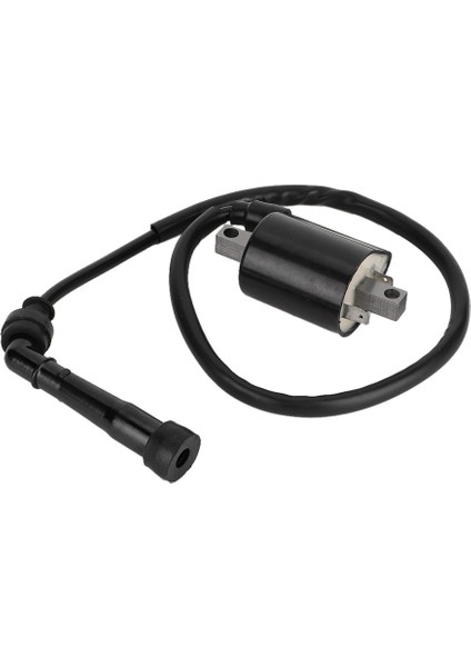 Motosiklet Ateşlemei Yedek Aksesuar Fit Yamaha V Yıldız 650 1999-2014 (Yurt Dışından)