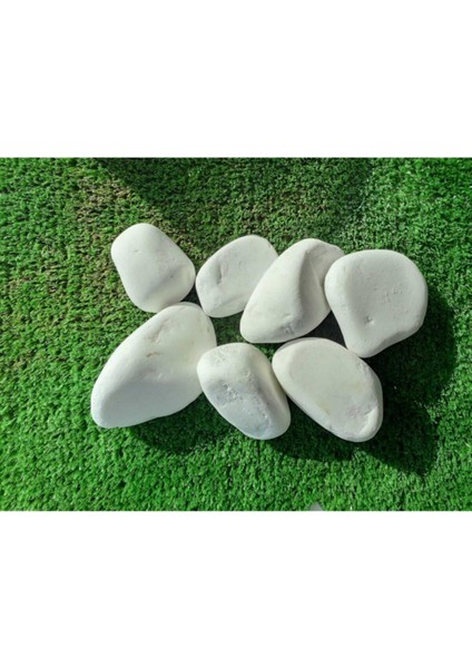 Beyaz Dolomit Taş 2kg, 2-4cm, Bahçe ve Saksı Dekoru, Peyzaj Taşı fiyatları