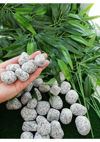 Benekli Taş 5 kg 2-4 cm Siyah Beyaz Granit Dolomit Bahçe Dekorasyonu fiyatları