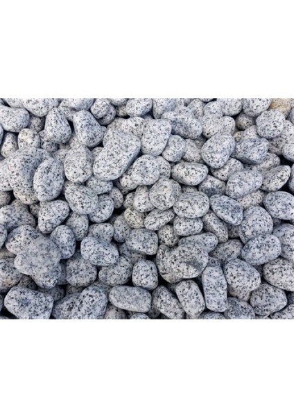 Benekli Taş 5 kg 2-4 cm Siyah Beyaz Granit Dolomit Bahçe Dekorasyonu modelleri