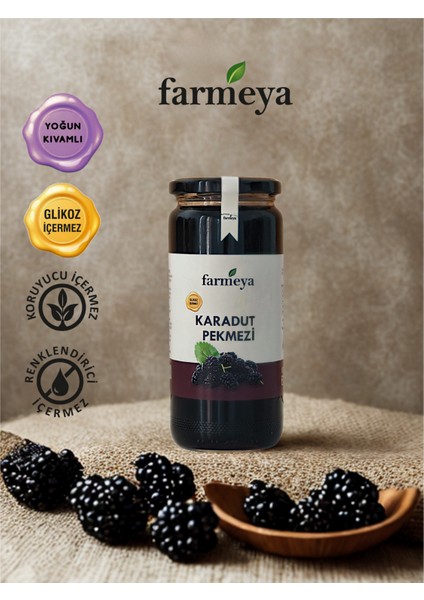 Karadut Pekmezi 610 gr