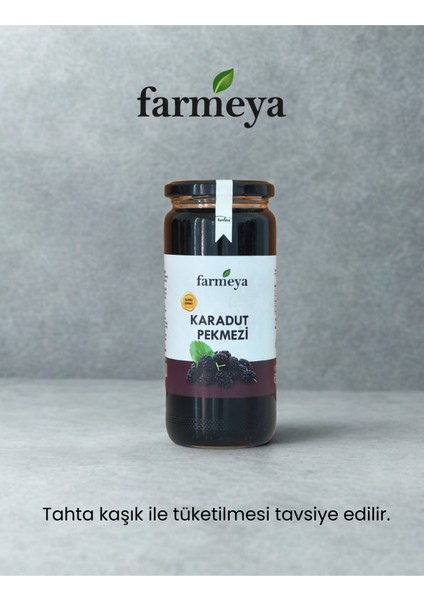 Karadut Pekmezi 610 gr fiyatları