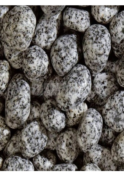 Benekli Dolomit Taşı 2-4 Cm, Bahçe ve Dekorasyon Için 5 kg