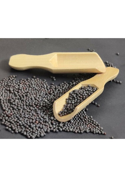 12 Adet Mini Kürek Baharat Kaşığı Seti, Şık Kahverengi Tasarım fiyatları