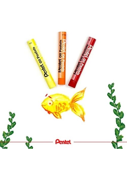 Yağlı Pastel Boya, Standart Kutu, 36 Renkli modelleri
