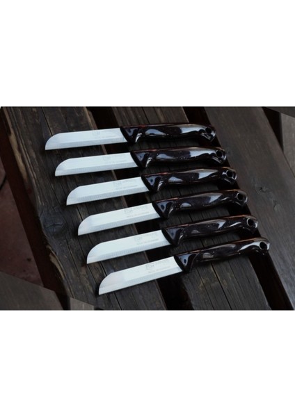 6'lı Renkli Delikli Meyve Sebze Bıçağı, Tırtıklı, Pratik ve Şık Set