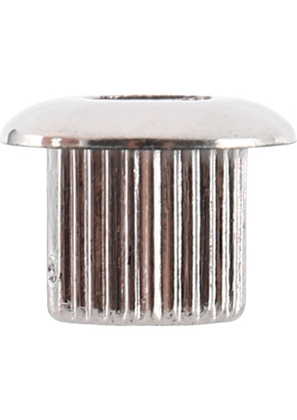 Gitar Tuner Dönüşümü Burçlar Adaptör Ferüller Nikel Kaplama 10MM Burç Başlığı Delikleri Için Güzel Plastik Kabuklu Gümüş (Yurt Dışından)