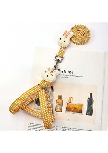 Evcil Hayvan Kedi Çekme Ipi Göğüs Kayışı Köpek Ipi Köpek Zinciri Köpek Dışarı Dışarı Göğüs Sırt Tasması (Yurt Dışından)