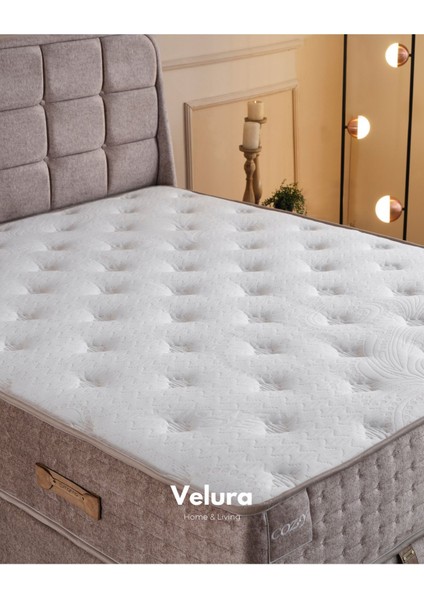 Cozy Tek Kişilik Yatak Baza Başlık Seti (100 x 200)