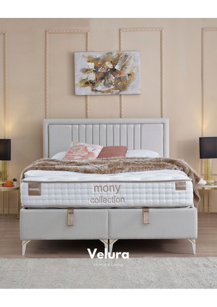 Dreamwell Tek Kişilik Yatak Baza Başlık Seti (140 x 190)