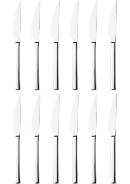 12'li 18.10 Çelik Yemek Bıçak Seti, 22 Cm, Şık ve Dayanıklı Mutfak Gereçleri