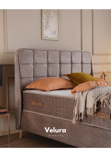 Cozy Çift Kişilik Yatak Baza Başlık Seti (160 x 200) fırsatları