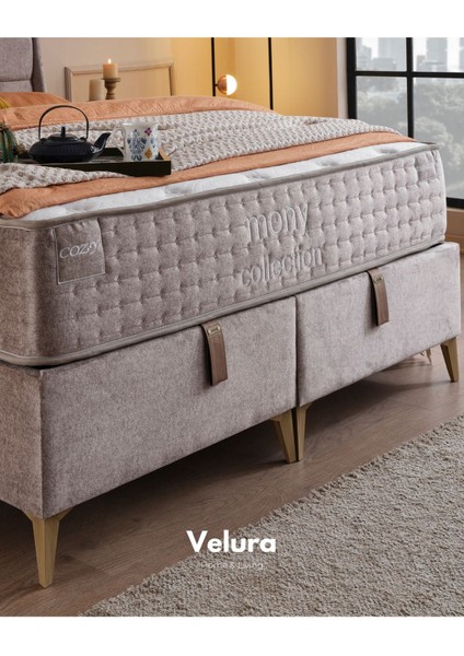 Cozy Çift Kişilik Yatak Baza Başlık Seti (160 x 200) indirimleri