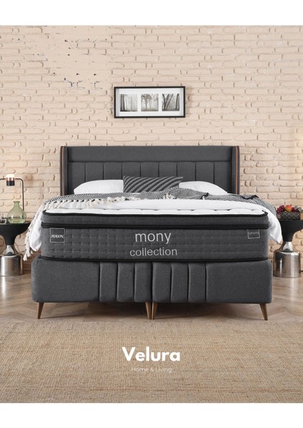 Season Tek Kişilik Yatak Baza Başlık Seti (100 x 200)