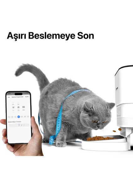 Akıllı Otomatik Kameralı Kedi Tuvaleti Paslanmaz Çelik Kaseli Mama Kabı Çelik Hazneli Su Pınarı ve Filtre 4'lü Pet Seti