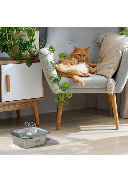 Akıllı Otomatik Kameralı Kedi Tuvaleti Paslanmaz Çelik Kaseli Mama Kabı Çelik Hazneli Su Pınarı ve Filtre 4'lü Pet Seti