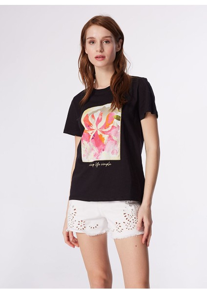 Siyah Kadın Bisiklet Yaka Basic T-Shirt Otran