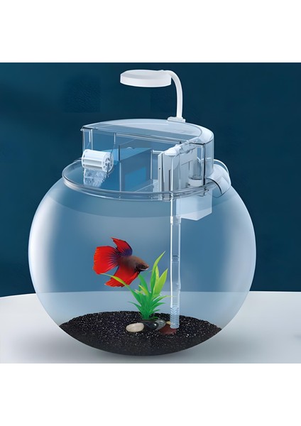 YG29 Fanus Akvaryum Set 29X29X27CM 10LT