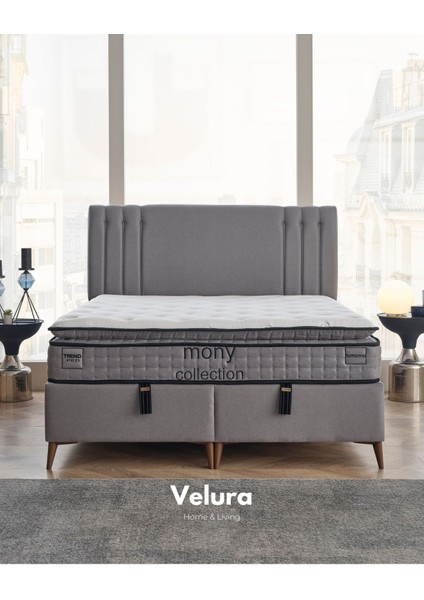 Trendy Ped Tek Kişilik Yatak Baza Başlık Seti (90 x 200) fiyatları