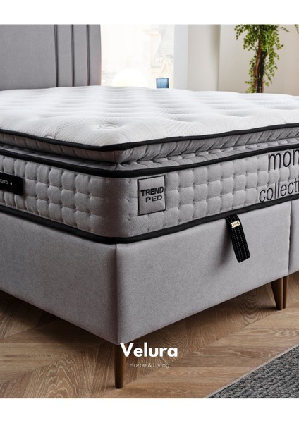 Trendy Ped Tek Kişilik Yatak Baza Başlık Seti (90 x 200) indirimleri