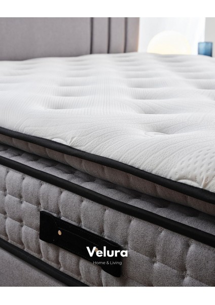 Trendy Ped Tek Kişilik Yatak Baza Başlık Seti (90 x 200)
