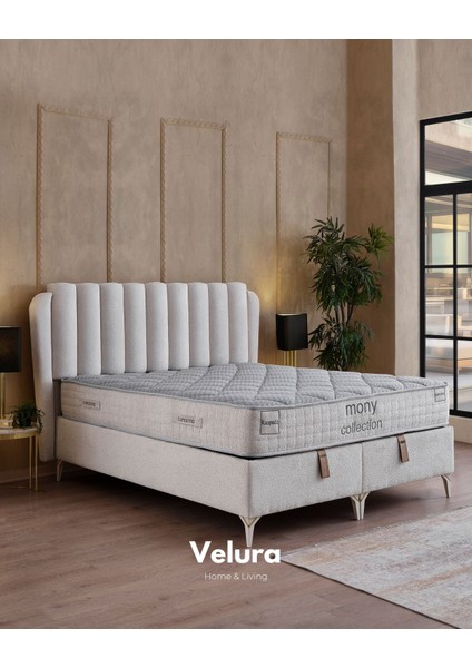 Viscopratic Tek Kişilik Yatak Baza Başlık Seti (140 x 200)