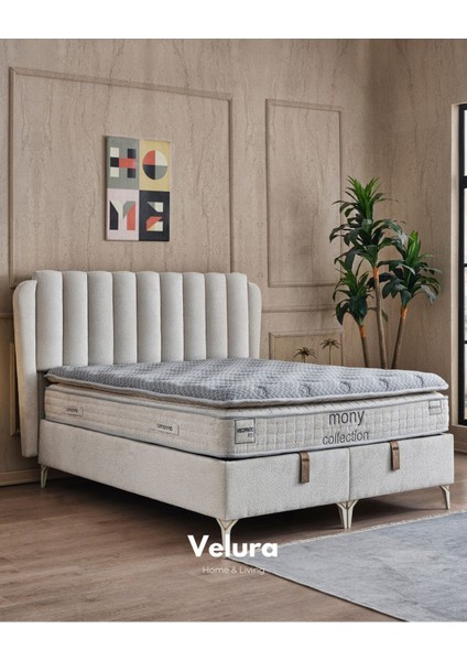 Viscopratic Ped Tek Kişilik Yatak Baza Başlık Seti (150 x 200)