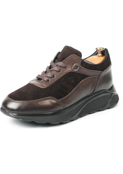 Petit Model Hakiki Deri Erkek Kahverengi Sneaker
